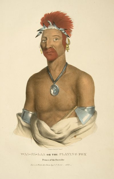 Waa-pa-laa or the Playing Fox by James Otto Lewis